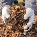 Yeongcheon City Launches 2026 Organic Fertilizer Program with Record Investment